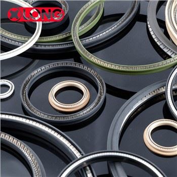 Ogljik napolnjen PTFE vzmet energiziran jašek tesnila