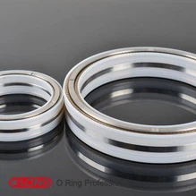 Dvojno batno tesnilo Lipseal